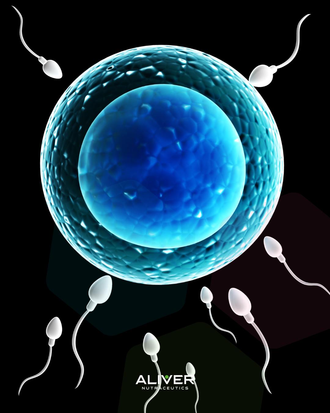 Na čo sa špecializuje ALIVER®?